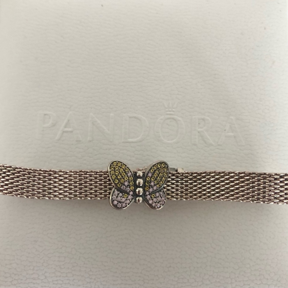 Retired Pandora Bracelet and Charm